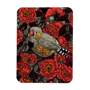 Zebrafinch und rote Rose Magnet