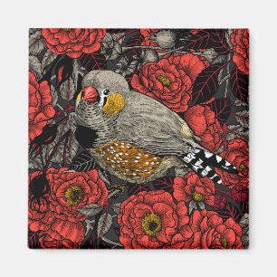 Zebrafinch und rote Rose Magnet