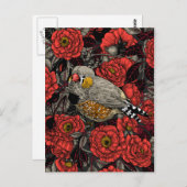 Zebrafinch und rote Rose Postkarte (Vorne/Hinten)