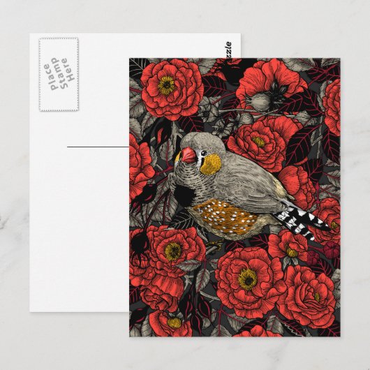 Zebrafinch und rote Rose Postkarte (Vorne/Hinten)