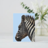 Zebragesicht Postkarte (Stehend Vorderseite)