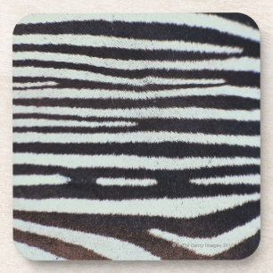 Zebrahautoberfläche Getränkeuntersetzer