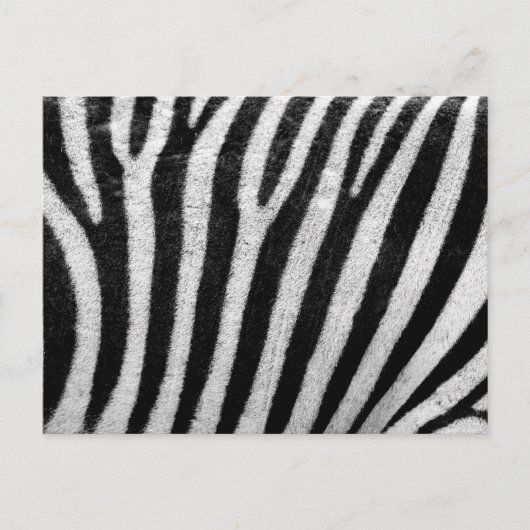 Zebrahautstruktur Postkarte (Vorderseite)