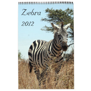Zebrakalender 2012 kalender