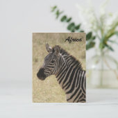 Zebramande Postkarte (Stehend Vorderseite)