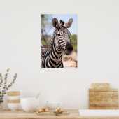 Zebraportrait Poster (Küche)