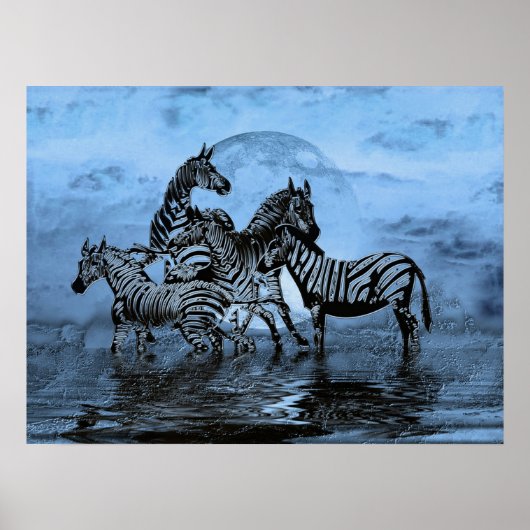 Zebras5 Poster (Vorne)