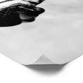 Zebras Animals Wildlife Black and White Poster (Ecke)