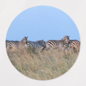 Zebras bei Dämmerung Etiketten (Design 2)