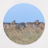 Zebras bei Dämmerung Etiketten (Design 1)