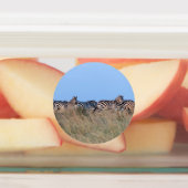 Zebras bei Dämmerung Etiketten (Befestigt)
