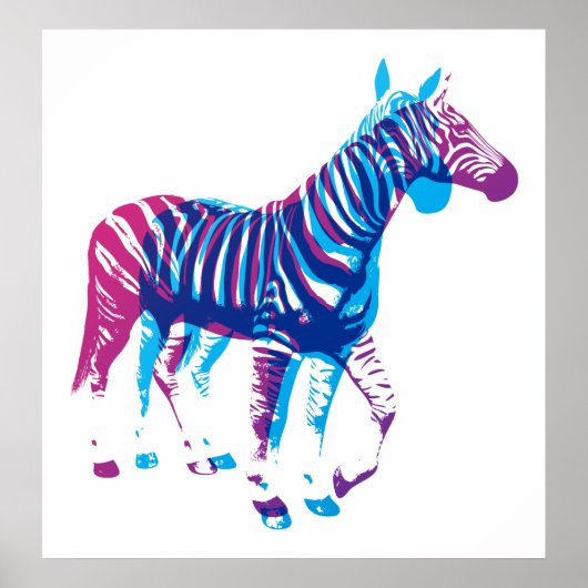 Zebras - Blau und Lila Poster (Vorne)