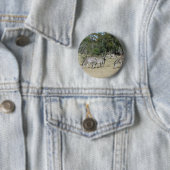 Zebras Button (Beispiel)