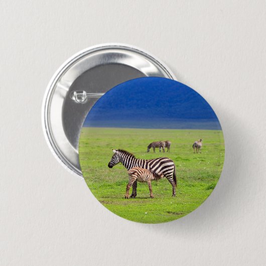 Zebras Button (Vorne & Hinten)