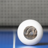 Zebras drinking tischtennisball (Netto)