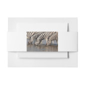 Zebras Einladungsbanderole (Vorderseite Beispiel)