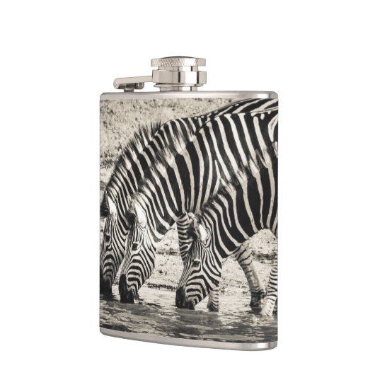 Zebras Flachmann (Links)