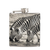 Zebras Flachmann (Vorderseite)