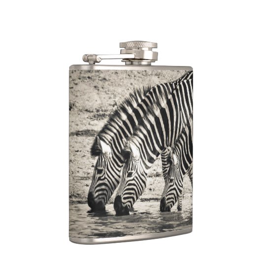 Zebras Flachmann (Rechts)