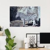 Zebras Foto Poster (Heimbüro)