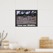 Zebras Foto Rette unser Wildlife Poster (Küche)