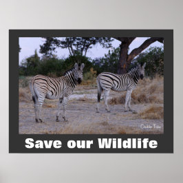 Zebras Foto Rette unser Wildlife Poster