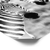 Zebras Fotodruck (Ecke)