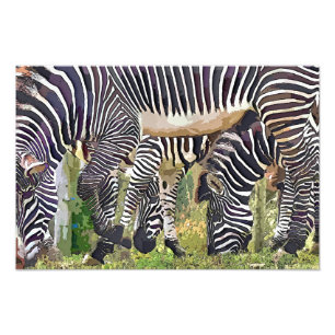 ZEBRAS FOTODRUCK