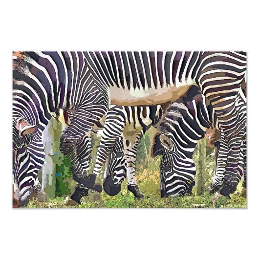 ZEBRAS FOTODRUCK (Vorne)