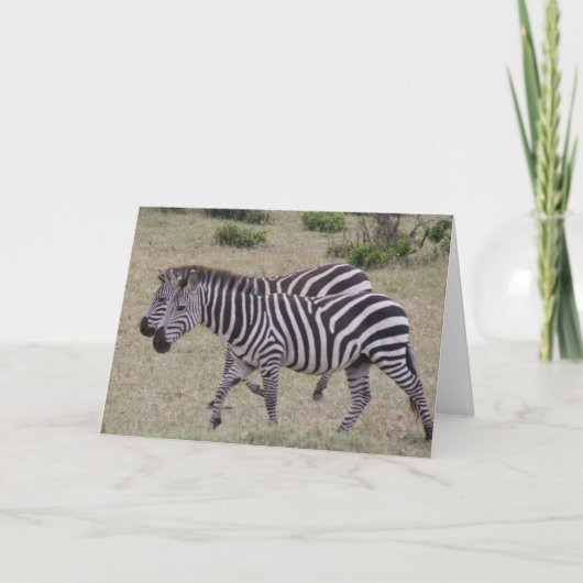 Zebras für immer feiertagskarte (Vorderseite)