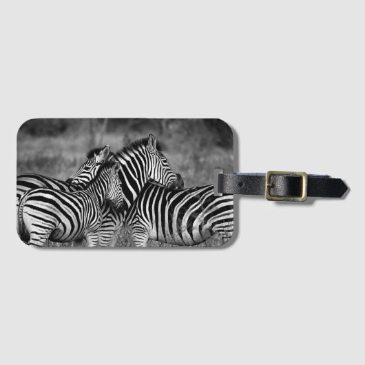 Zebras Gepäckanhänger (Vorderseite (Horizontal))