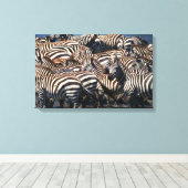 Zebras-Herde 2 Leinwanddruck (Insitu (Holzboden))