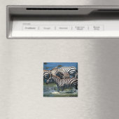 Zebras-Herde 2 Magnet (In Situ (Geschirrspüler))