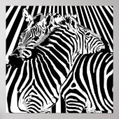 Zebras Hugging Poster für den Handel mit binären O (Vorne)