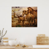 Zebras im amerikanischen Museum für Naturgeschicht Poster (Küche)