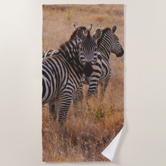 Zebras im Gras Strandtuch (Vorderseite)
