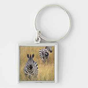 Zebras im hohen Gras Schlüsselanhänger