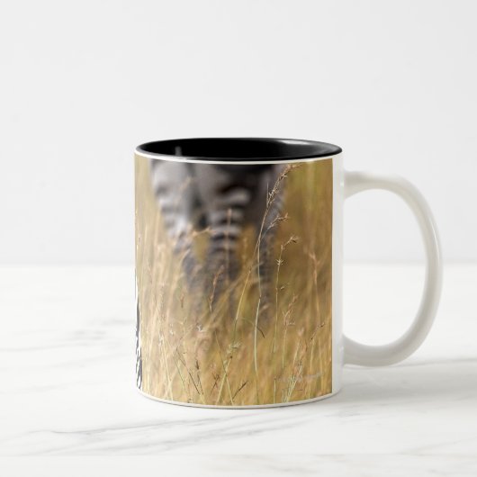 Zebras im hohen Gras Zweifarbige Tasse (Rechts)