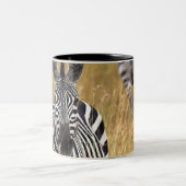 Zebras im hohen Gras Zweifarbige Tasse (Mittel)