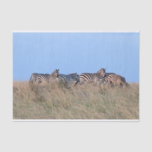 Zebras in der Dämmerung Seidenpapier (Vorderseite)