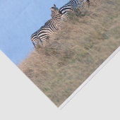 Zebras in der Dämmerung Seidenpapier (Ausschnitt)