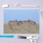 Zebras in der Dämmerung Seidenpapier (Handwerk)