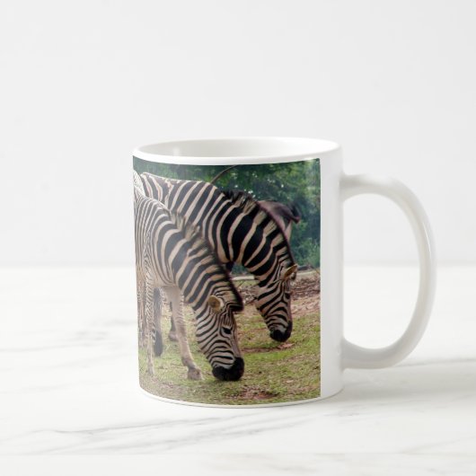 Zebras in einem Wildtierzoo Kaffeetasse (Rechts)