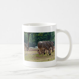 Zebras in einem Wildtierzoo Kaffeetasse