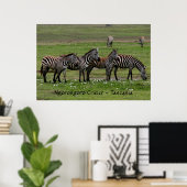 Zebras in einer Reihe Poster (Heimbüro)