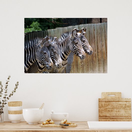 Zebras in einer Reihe Poster (Küche)
