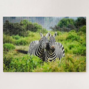 Zebras in freier Wildbahn Puzzle