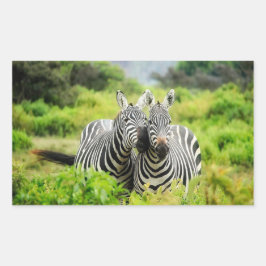 Zebras in freier Wildbahn Rechteckiger Aufkleber