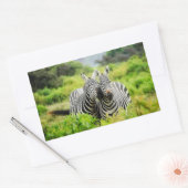 Zebras in freier Wildbahn Rechteckiger Aufkleber (Umschlag)