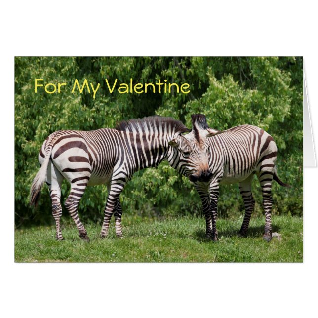 Zebras in Liebe Valentinenkarte (Vorderseite (Horizontal))